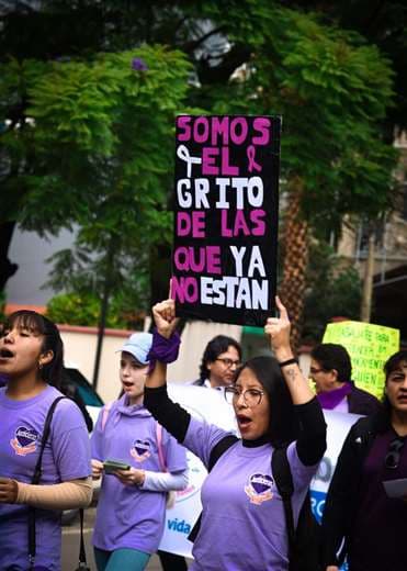Mujeres salen en defensa de la Ley 348, que condena la violencia y los feminicidios