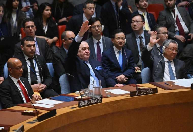 Consejo de Seguridad de la ONU votó el jueves. Foto: AFP