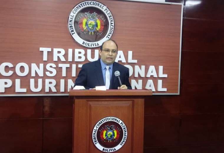 El presidente del Tribunal Constitucional Plurinacional (TCP), Paul Franco /ABI