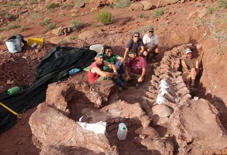 Restos de saurópodo hallados en Argentina