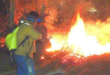 Bomberos trabajan en la extinción de cinco incendios forestales. ARCHIVO