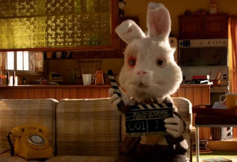 Él es el conejo protagonista de un video de denuncia