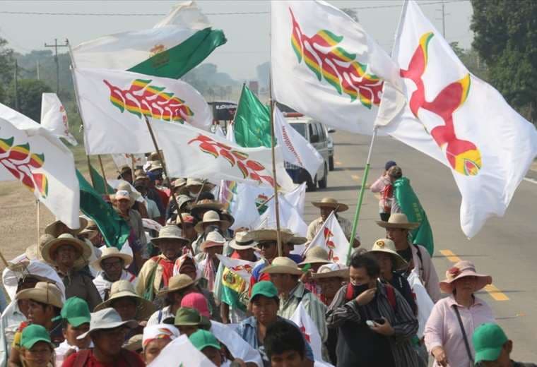 La marcha indígena busca que el Gobierno atienda sus demandas. Fotos: Ipa Ibáñez