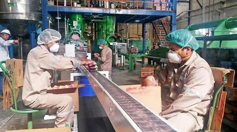 Las áreas producción de firmas tarijeñas siguen en planta 