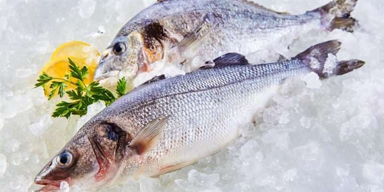 Comer un pescado de río en EEUU equivale a beber agua contaminada durante un mes, según estudio