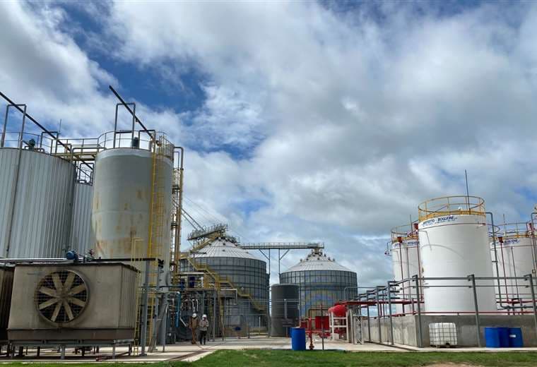 Etanol de sorgo, el biocombustible del futuro en bolivia, impulsado por Granosol